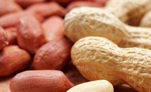 花生的功效与作用及禁忌，花生的副作用