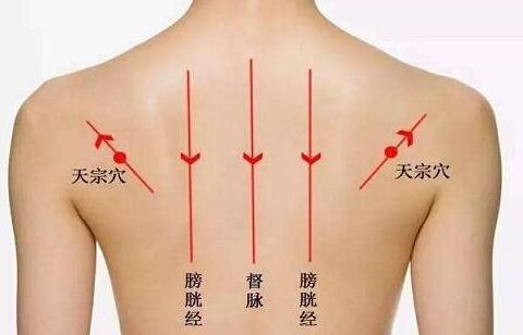 天宗怎么找最快，女性天宗的准确位置图