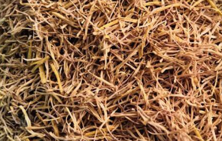 9个月还可以喝白莲须吗，莲须对孕妇的作用