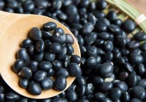 黑豆可以促排卵吗，吃黑豆五天卵泡长很大