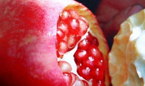 石榴怎么挑选，石榴怎么挑最新鲜