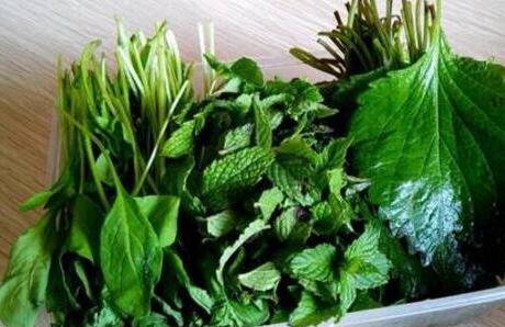 农村人把紫苏叫什么，紫苏的功效与作用禁忌