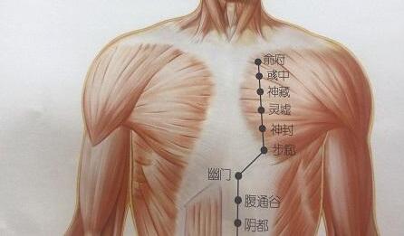 彧中怎么读？彧中的准确位置图和作用