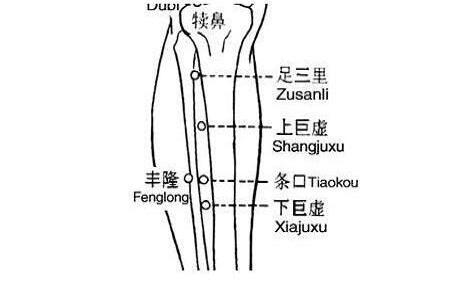 上巨虚和下巨虚的作用，上巨虚的准确位置图和取法