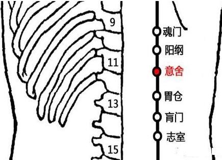 意舍疼痛是什么原因？意舍的准确位置图和作用