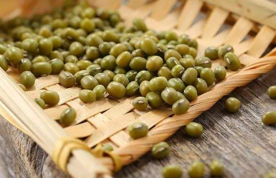 绿豆的功效与作用及禁忌