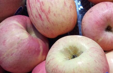 苹果减肥法怎么做,苹果减肥法三天有用吗