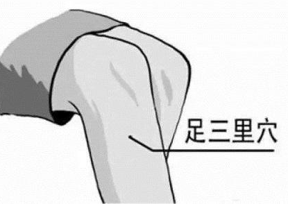 足三里疼是怎么回事,足三里特别疼是哪不好 足三里疼是怎么回事,足三里特别疼是哪不好