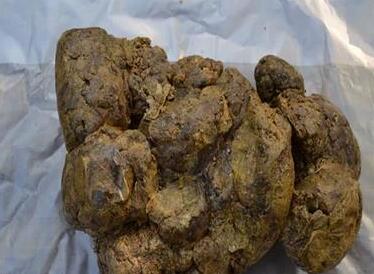 蜂胶是什么，蜂胶的价格多少钱一斤