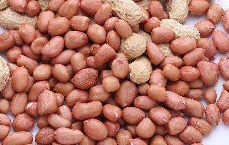 花生生吃好还是熟吃好，花生的功效与作用