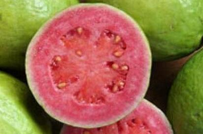 番石榴什么人不能吃，哪些人不宜吃石榴
