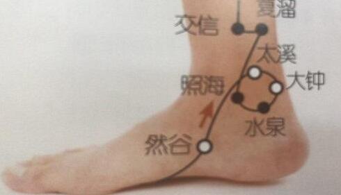 大钟穴怎么找最简单，大钟的准确位置图和作用