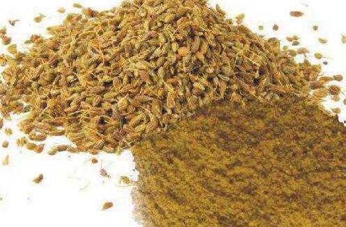 孜然怎么读音，孜然的功效与作用及食用方法