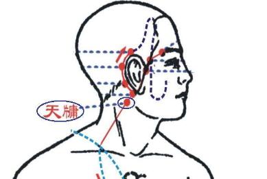 天牖怎么读音？天牖的准确位置图和作用