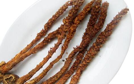 草苁蓉的功效与作用及食用方法