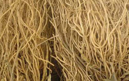 中药徐长卿能治什么病，中药徐长卿功效与作用