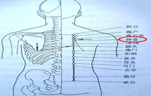 神堂的简易找法,神堂的准确位置图和作用