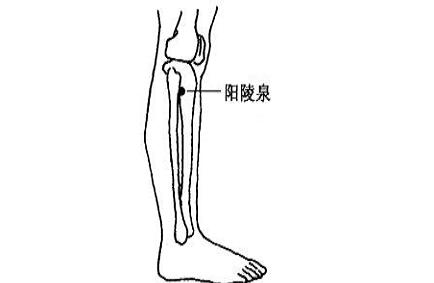 阴陵泉疼痛预示着什么，阴陵泉按压疼死了