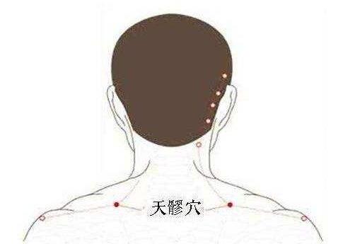 天髎的准确位置怎么找，天髎的准确位置图和作用