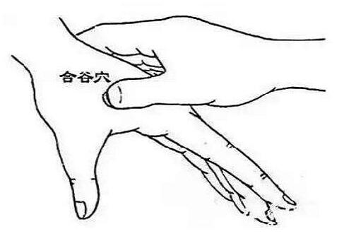 合谷定位怎么找最简单，合谷的准确位置图和作用