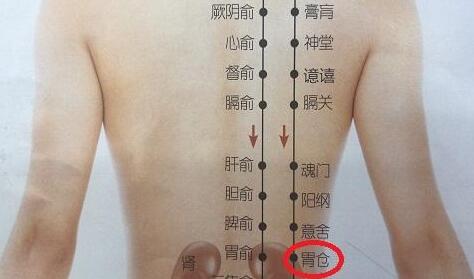 胃仓疼是怎么回事？胃仓的准确位置图和作用