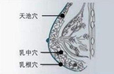 怎么找天池准确位置，女性天池的准确位置图和作用