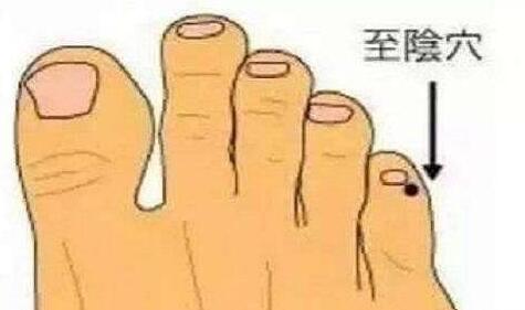 至阴穴在哪，至阴的准确位置和作用
