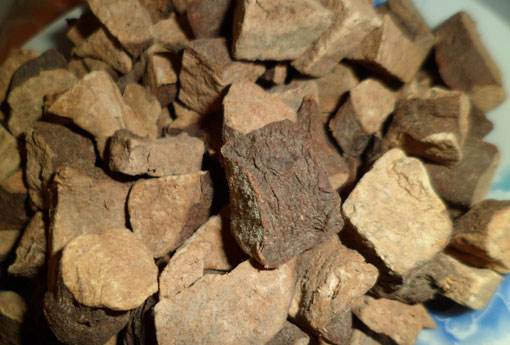 何首乌的副作用有哪些？何首乌的禁忌