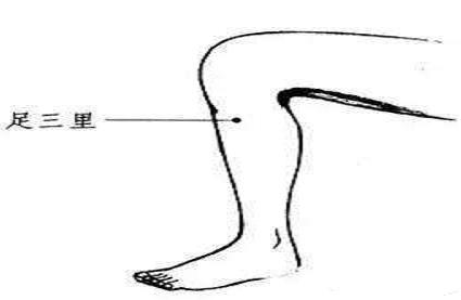 足三里什么时候不能按,哪些人不能按足三里 足三里什么时候不能按,哪些人不能按足三里