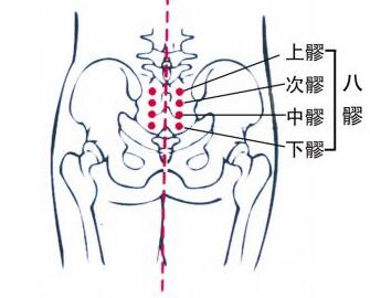 中髎的简便找法，中髎的准确位置图和作用