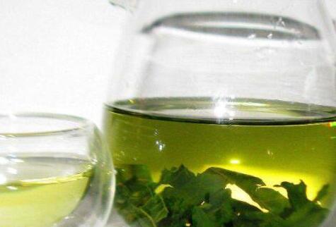 桑叶茶能降血糖吗，桑叶茶降糖效果怎么样