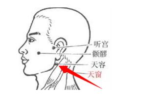 天容穴的简易找法，天容的准确位置图和作用