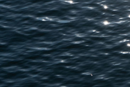 常喝“过期水”会影响养生？一定要注意了！