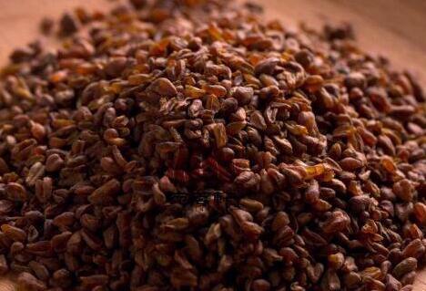 黄苦荞茶的功效与作用及食用方法