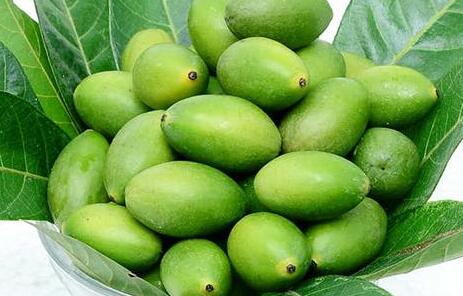 新鲜的青橄榄怎么吃，青橄榄最简单的腌制