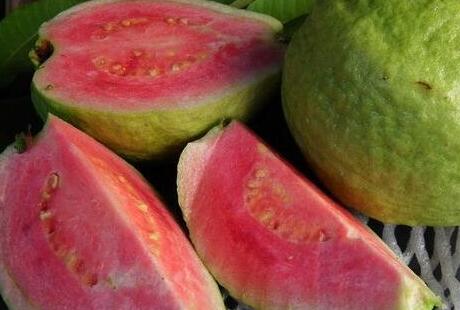 番石榴孕妇可以吃吗，孕妇吃番石榴对胎儿好吗