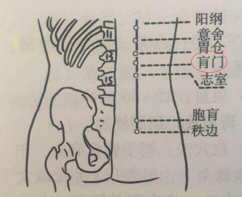 肓门怎么读？肓门的准确位置图和作用