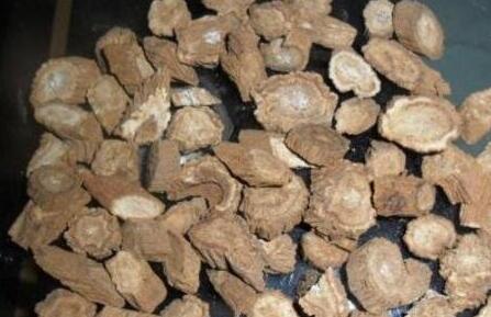 牛蒡根泡水功效与作用，牛蒡根泡水能不能补肾