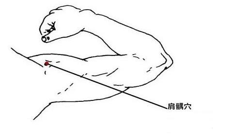 肩髃怎么读，肩髃的准确位置图片