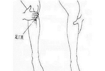 足三里治好脱发是真的吗 足三里治好脱发是真的吗