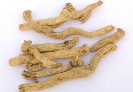 玉竹的功效与作用及禁忌