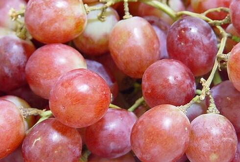 红提是凉性还是热性，红提可以连皮一起吃吗