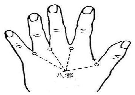 八邪穴的简易找法，八邪的准确位置图和作用