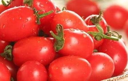 圣女果一天可以吃多少，圣女果吃多了有啥坏处