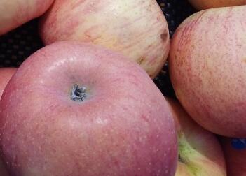 苹果减肥法可以喝水吗，苹果减肥法三天瘦8斤