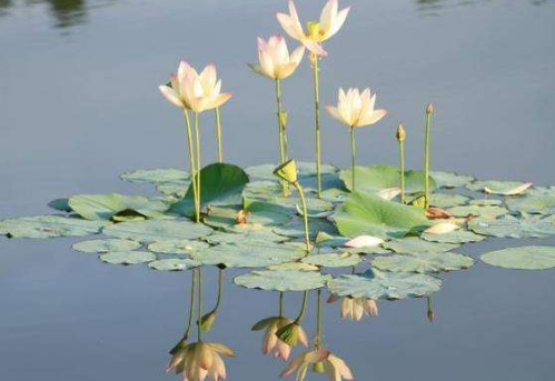 三伏天哪些事不能做？