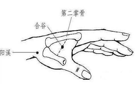 合谷怎么按摩，经常按摩合谷有什么好处