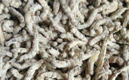 僵蚕的功效与作用及禁忌,僵蚕的用量