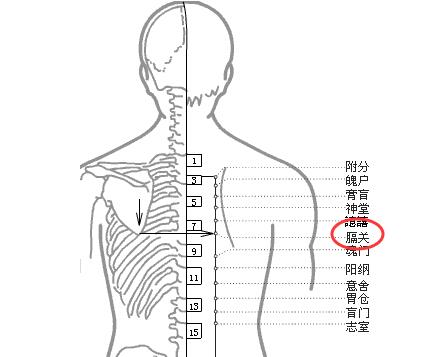 膈关疼痛是什么原因？膈关的准确位置图和作用