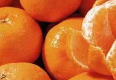 桔子是热性还是凉性，桔子哪些人不能吃